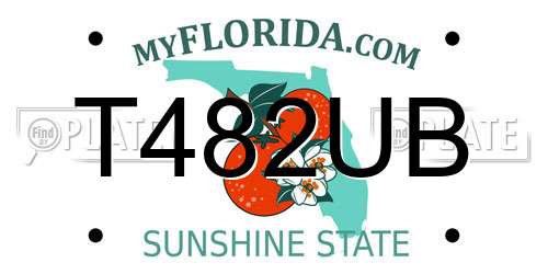 T482UB Florida License Plate