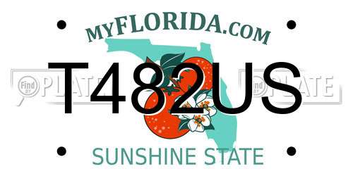 T482US Florida License Plate