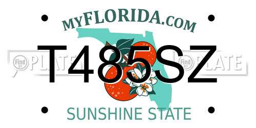 T485SZ Florida License Plate