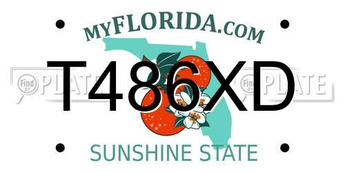 T486XD Florida License Plate