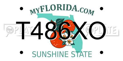 T486XO Florida License Plate