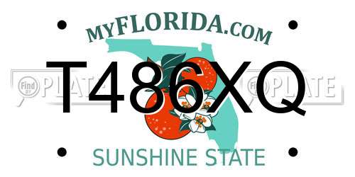 T486XQ Florida License Plate