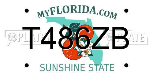 T486ZB Florida License Plate