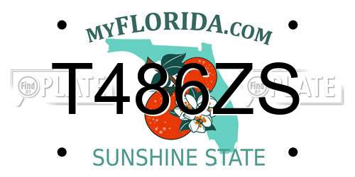 T486ZS Florida License Plate