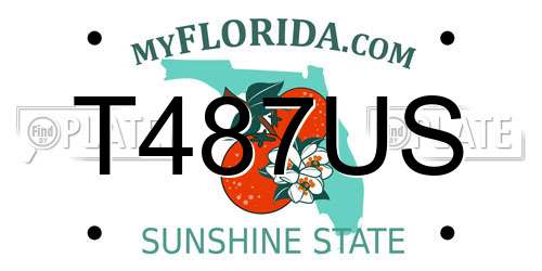 T487US Florida License Plate