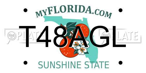 T48AGL Florida License Plate