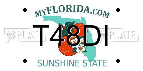 T48DI Florida License Plate
