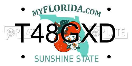 T48GXD Florida License Plate