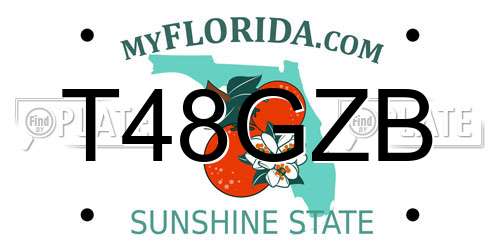 T48GZB Florida License Plate