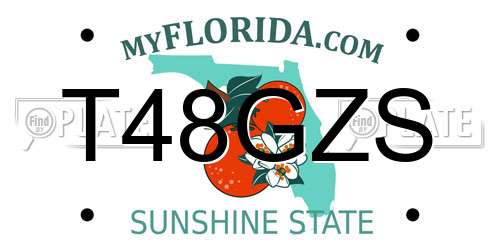 T48GZS Florida License Plate
