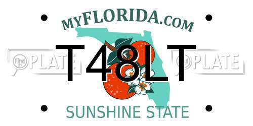 T48LT Florida License Plate