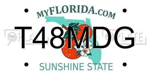 T48MDG Florida License Plate