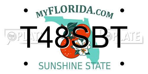 T48SBT Florida License Plate