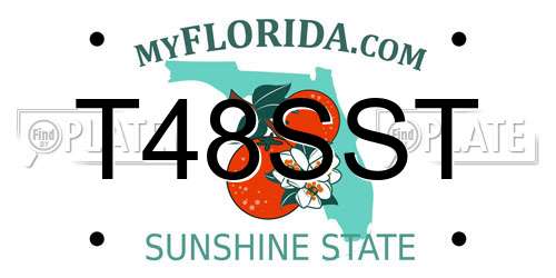 T48SST Florida License Plate