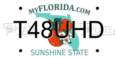 T48UHD Florida License Plate