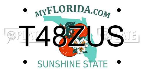 T48ZUS Florida License Plate