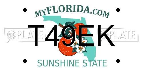 T49EK Florida License Plate