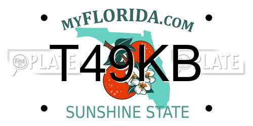 T49KB Florida License Plate