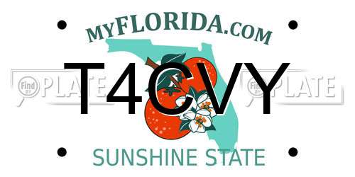T4CVY Florida License Plate