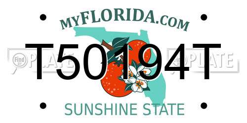 T50194T Florida License Plate