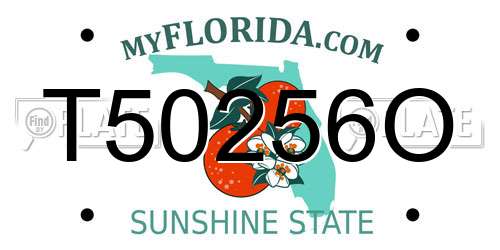 T50256O Florida License Plate