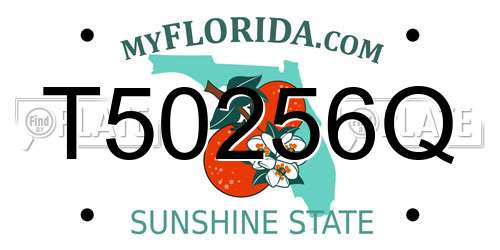 T50256Q Florida License Plate