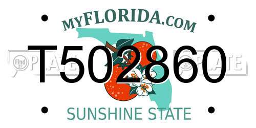 T502860 Florida License Plate
