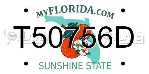 T50756D Florida License Plate