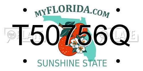 T50756Q Florida License Plate