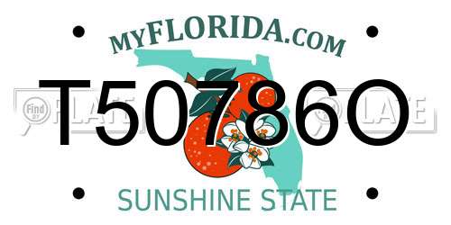 T50786O Florida License Plate
