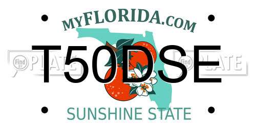 T50DSE Florida License Plate