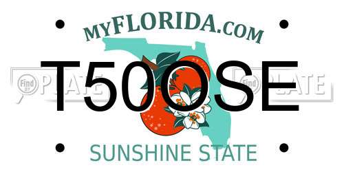 T50OSE Florida License Plate