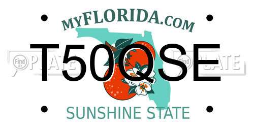 T50QSE Florida License Plate