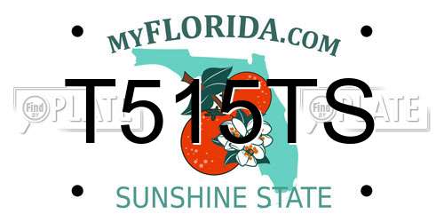 T515TS Florida License Plate