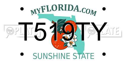 T519TY Florida License Plate