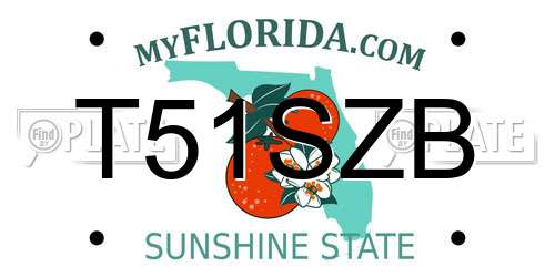 T51SZB Florida License Plate