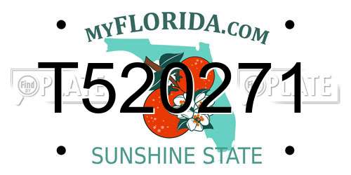 T520271 Florida License Plate