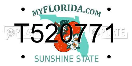T520771 Florida License Plate