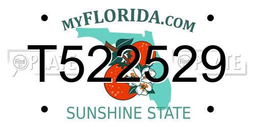 T522529 Florida License Plate