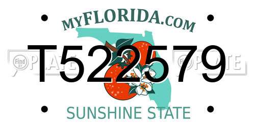 T522579 Florida License Plate