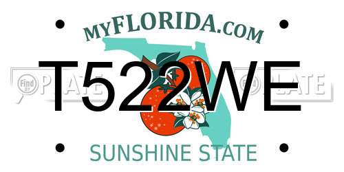 T522WE Florida License Plate