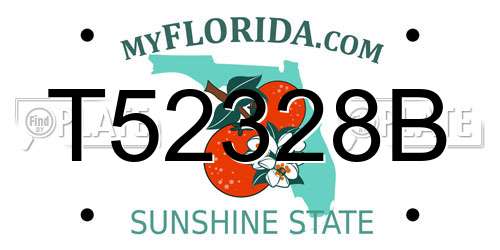 T52328B Florida License Plate