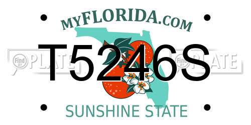 T5246S Florida License Plate