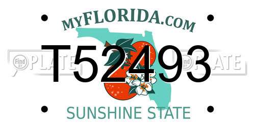 T52493 Florida License Plate