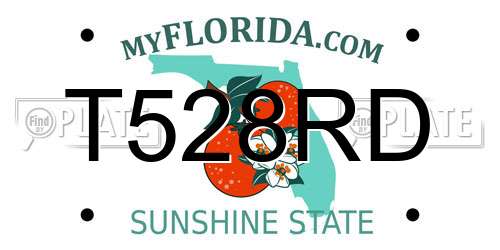 T528RD Florida License Plate