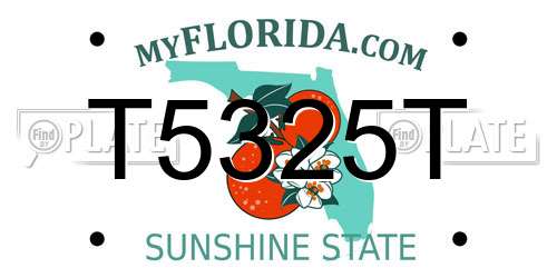 T5325T Florida License Plate