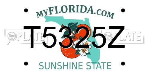 T5325Z Florida License Plate
