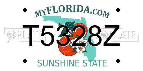 T5328Z Florida License Plate