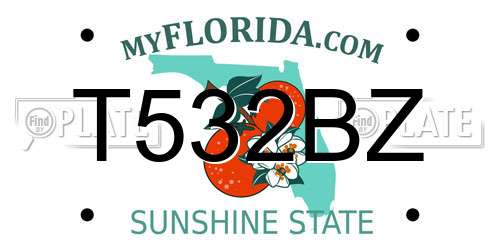 T532BZ Florida License Plate