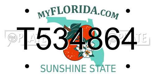 T534864 Florida License Plate
